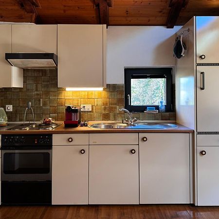 Cozy Apartment In The Green Λοκάρνο Εξωτερικό φωτογραφία