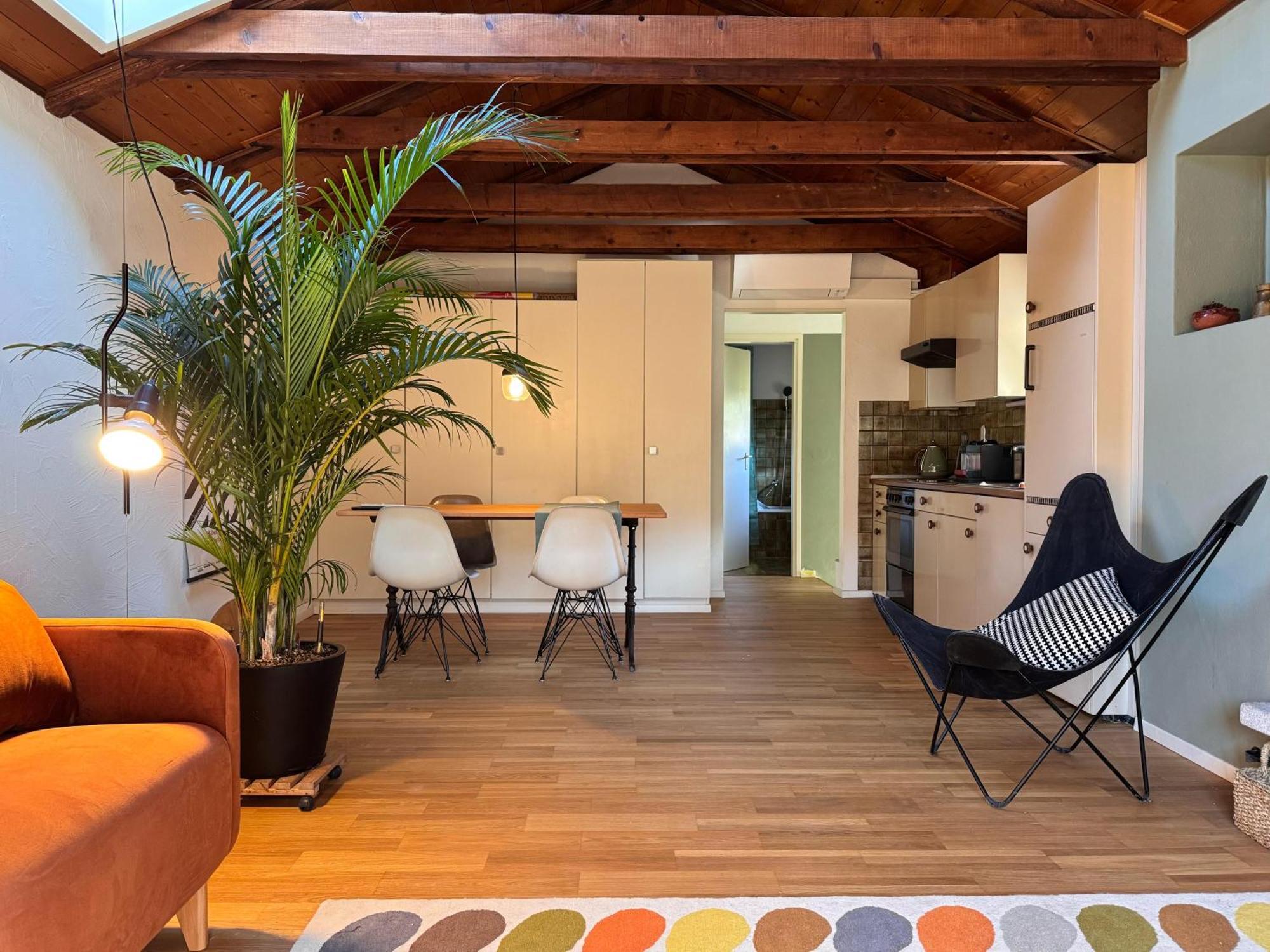 Cozy Apartment In The Green Λοκάρνο Εξωτερικό φωτογραφία